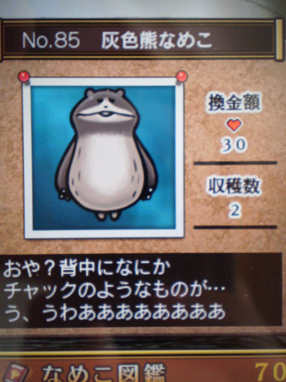 灰色熊なめこ まゆまゆのなめこ日記